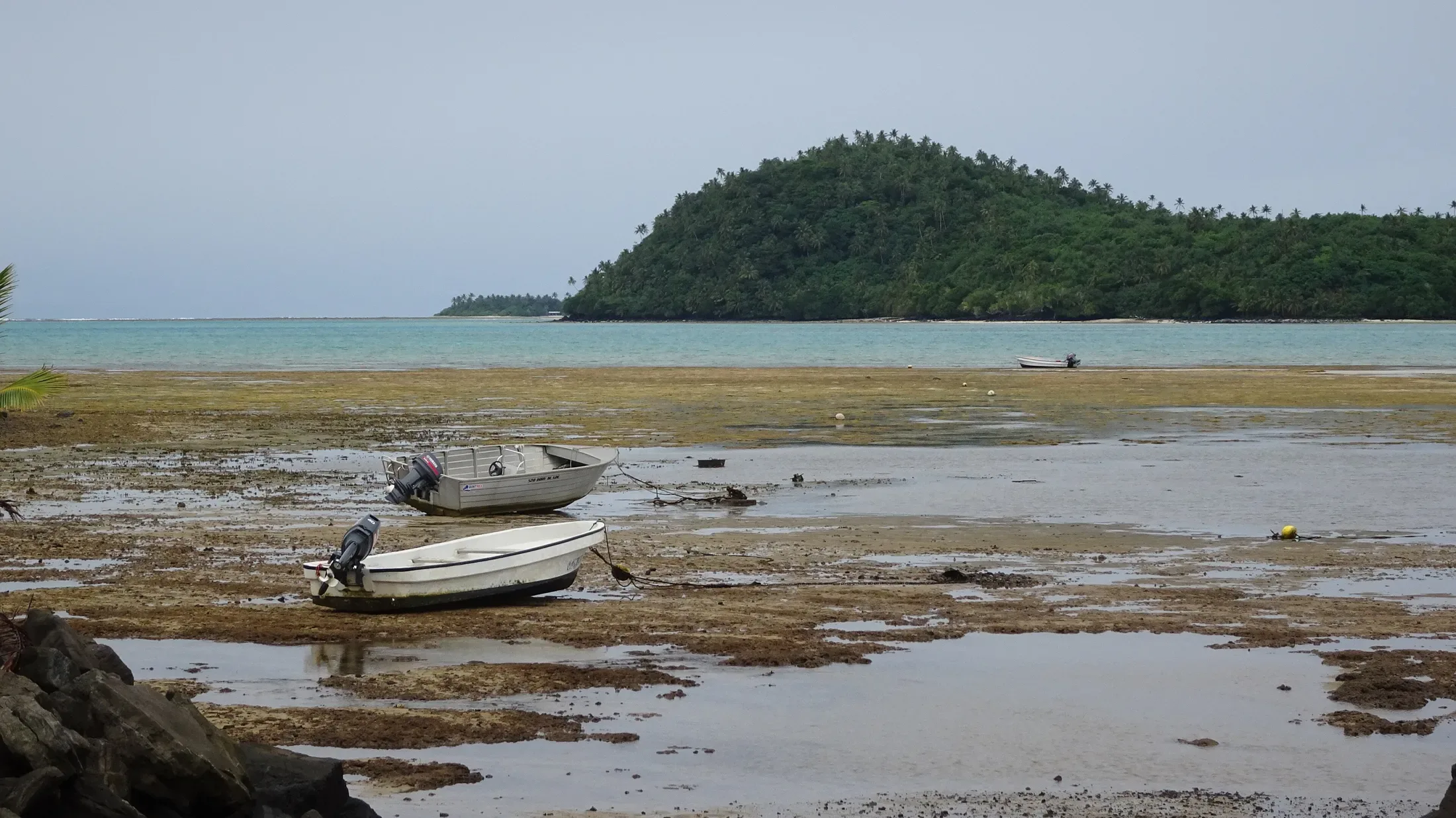Wallis Lagoon at Low Tide, Liku